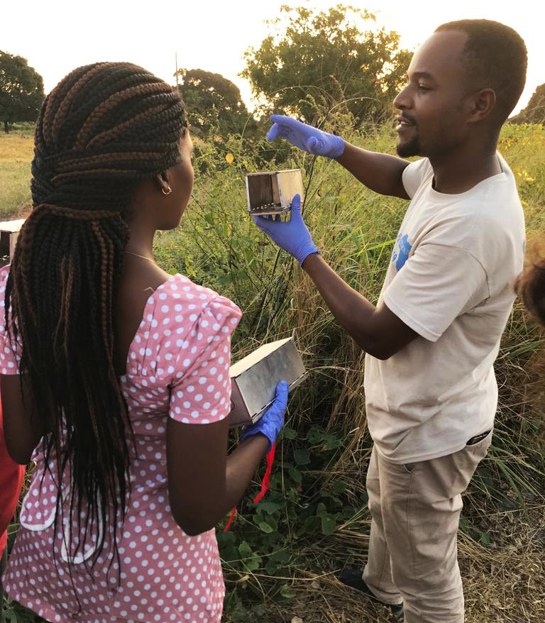 rodent sampling demo