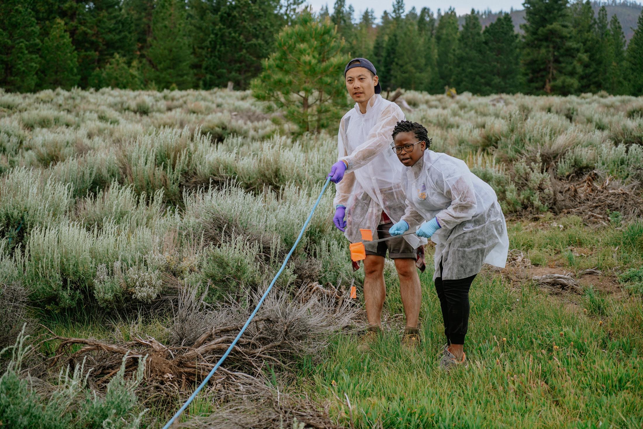 Huan and Angelique conducting a transect