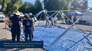 RxOH participants learning to set up a western shelter with California Veterinary Emergency Team